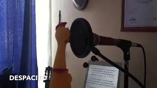 Despacito курица: chiken-версия прикольная пародия