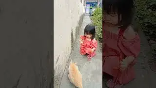 kasih makan harimau #short #shorts #viralvideo #funny #shortvideo #comedy