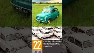 22 ноября#shorts