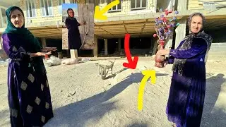 Halima's struggle to continue her difficult life 