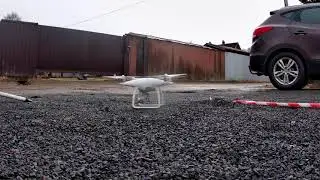 жоржино