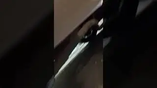 работа по замене порога с одной стороны закончена.