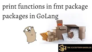 fmt packages in Golang | print function