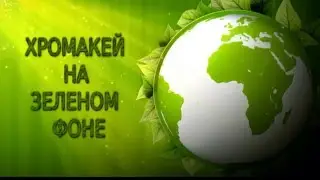 Футаж хромакей на зеленом фоне. Бабочки