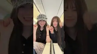 허니와 하냥냥네코😽 