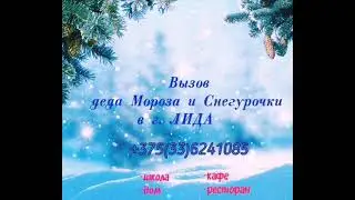 Вызов деда Мороза и Снегурочки на дом,в школу,кафе и ресторан в г.Лида