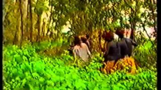 Tarzan - part 2