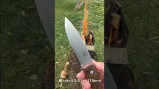 The TBS Boar BushCraft Knife Is A  Absolute Beauty And  Recommended 😃🫶