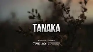 Afrobeat x Afropop Type Beat - 