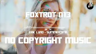 Erick Lund - Summertime (NO COPYRIGHT MUSIC) | AUDIO VISUALIZER | BEST NCS 2020
