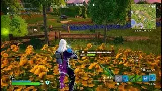 Fortnite - Rare Galaxy Skin