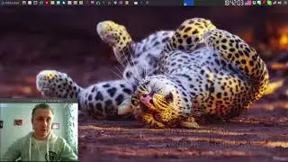 Самая частая ошибка пользователей Arch Linux