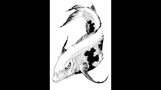 Потерянная запись.  Кои но такинобори рю 2008 год. Часть №1