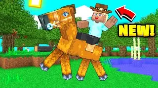 👒 Updates: MULTICRAFT'S BRAND NEW HATS! (Nice Cosmetics) | @XREALM 🐼
