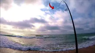 Surf Fishing PUFFERS in North Carolina