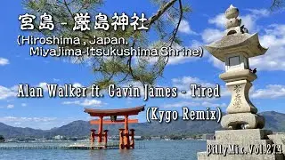 Alan Walker ft. Gavin James - Tired(Kygo Remix) / 宮島 - 厳島神社 / βillyMix.Vol.274