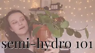 Semi-Hydro 101 | Tips & Tricks for Starting Your Semi-Hydro Journey
