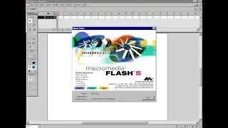 Macromedia Flash 5.0 in 2000