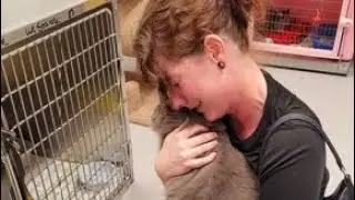 Lost cat reunited with owner after five years