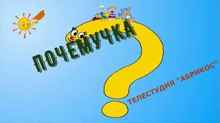 Программа ПОЧЕМУЧКА ПЕРВЫЕ ЖИВОТНЫЕ В КОСМОСЕ 2024