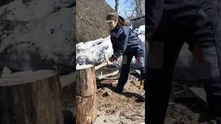 Моя помощница! Видео из архива!Дрова.