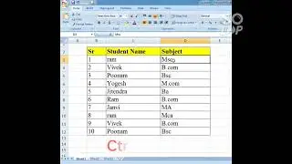 Excel me shortcut key se Fillter Apply/Remove kese karte he ||How to Add and Remove Fillter in Excel