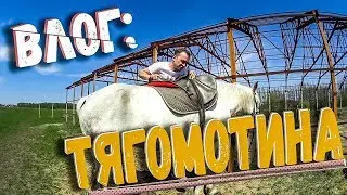 БЛОГ: ТЯГОМОТИНА