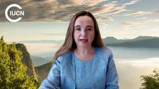 Dr. Grethel Aguilar: Advocating for Women's Leadership in Environmental Policies
