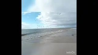 Рожденные 27 числа