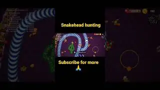 How to catch a Snake inside ur snake #snakeheadhunting #shorts #snakevideo #snakevideo #youtube