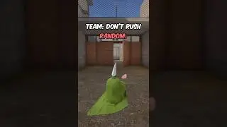 The smartest teammate #standoff #teammate #meme