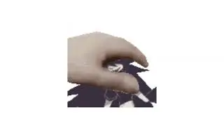 PET THE MISS CIRCLE