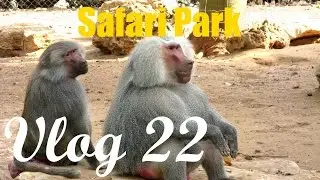 Vlog 22: Safari Park
