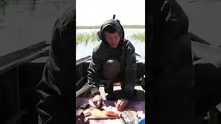 🤔 Основной источник пищи в тундре. Быт коренных северных народов 