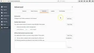 How to Use Blazing Proxies and SOCKS Protocol With Firefox
