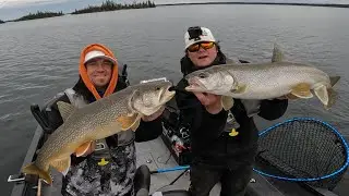 Searching for a FEEDING FRENZY! Lake Trout Fishing  #vikinglodge #fishing