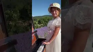 Лавандовое поле в Крыму