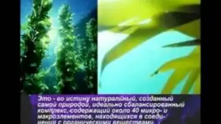 Питание человека - скрытые факты