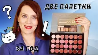 Закончить палетку за год или сразу две?!! Начало | Project Pan 2021 | BH Cosmetics | Catrice