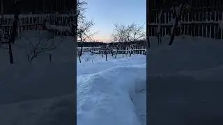 Петарда голландская🧨