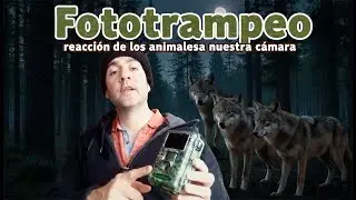 FOTOTRAMPEO: REACCIÓN DE LOS ANIMALES A NUESTRA CÁMARA