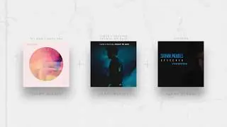 SHAWN MENDES MASHUP - If I Can't Have You X There's Nothing Holdin' Me Back X Stitches