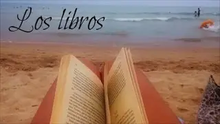Un pequeño homenaje a los libros