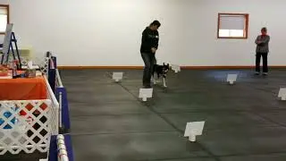 WCRL: Level 1 Featuring Vicka, Vision and Larry