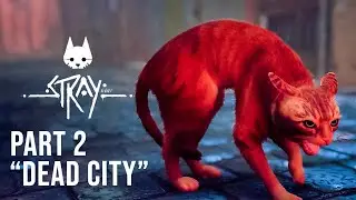 STRAY Walkthrough Gameplay Part 2 - (FULL GAME) - DEAD CITY - Nitro 5
