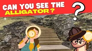 Nobody Can See All the Hidden Animals | Can You Find the Hidden Animals | Find the Animal Game