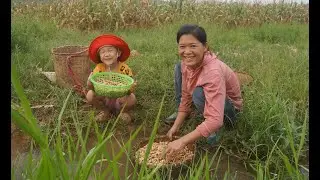 Single mother and young daughter harvest peanuts to sell at the market - Bui Kim Chang
