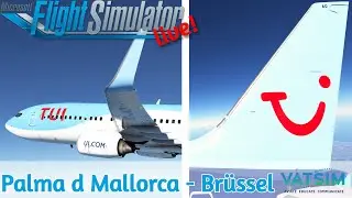TUI fly Ops | Brüssel Event | Palma LEPA✈Brüssel EBBR | VATSIM | MSFS2020 | Live