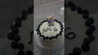 ЛЬВУ ПОЛГОДА ❤️