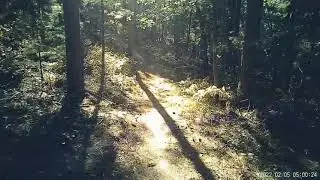 wildcat mtb trail